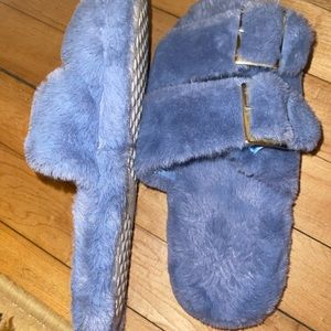 Blue slipper slides